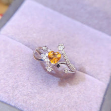 Load image into Gallery viewer, LBL - 0530 - 141222 - 5 - 1 - 貴婦人の宝箱