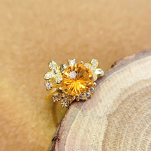 画像をギャラリービューアに読み込む, LBL - 0530 - 141239 - 8 - 1 - 貴婦人の宝箱