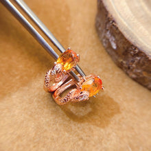 Load image into Gallery viewer, LBL - 0530 - 141351 - 7 - 1 - 貴婦人の宝箱