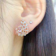 画像をギャラリービューアに読み込む, LBL - 0531 - 124033 - 6 - 1 - 貴婦人の宝箱