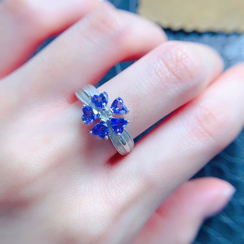 LBL - 0601 - 172800 - 4 - 1 - 貴婦人の宝箱