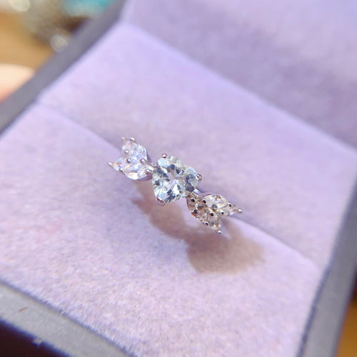 LBL - 0601 - 173051 - 6 - 1 - 貴婦人の宝箱