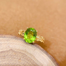 画像をギャラリービューアに読み込む, LBL - 0606 - 093830 - 10 - 1 - 貴婦人の宝箱