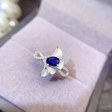 Charger l&#39;image dans la galerie, LBL - 0609 - 172257 - 1 - 貴婦人の宝箱