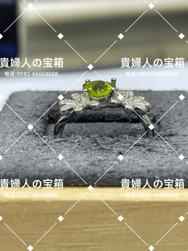 lccaj - 貴婦人の宝箱