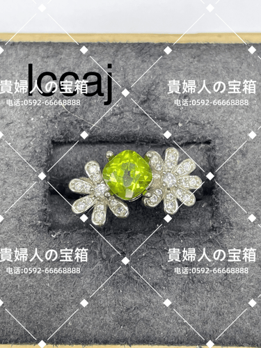 lccaj - 貴婦人の宝箱