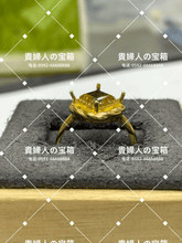 画像をギャラリービューアに読み込む, lchjh - 貴婦人の宝箱