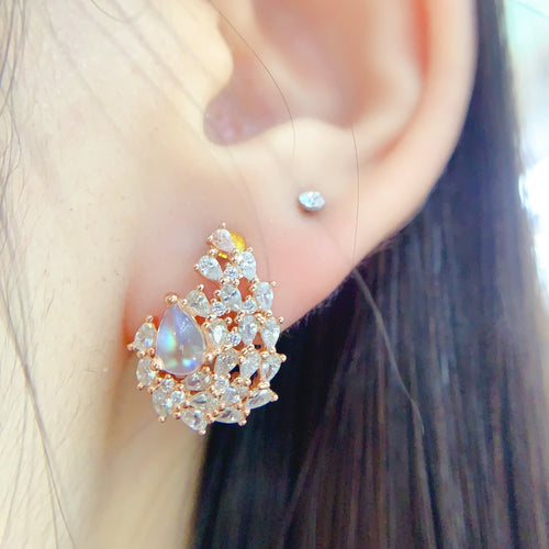 LEAR46 - 貴婦人の宝箱