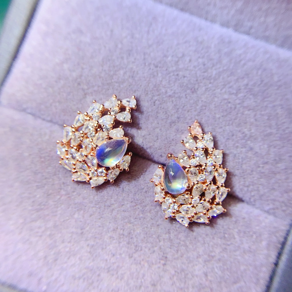 LEAR46 - 貴婦人の宝箱