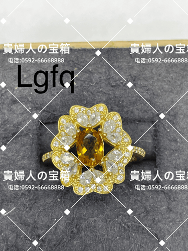 lgfq - 貴婦人の宝箱