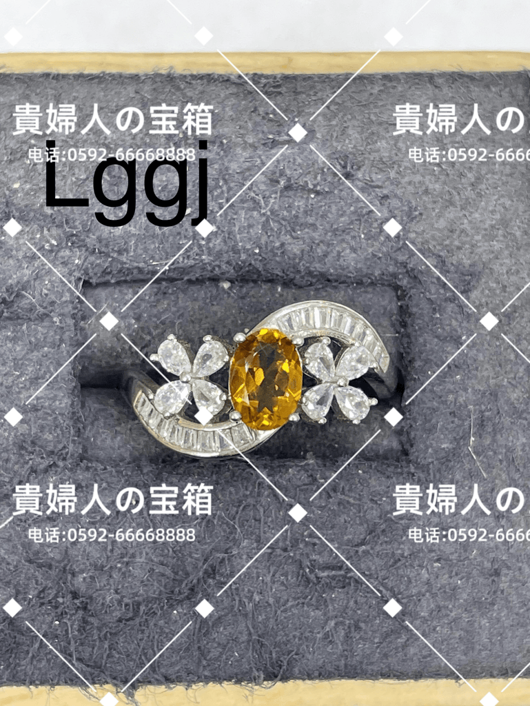 lggj - 貴婦人の宝箱