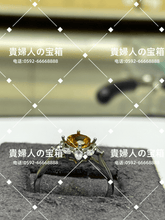 Load image into Gallery viewer, lhdq - 貴婦人の宝箱