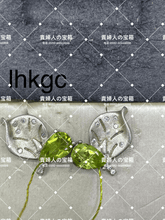 画像をギャラリービューアに読み込む, lhkgc - 貴婦人の宝箱