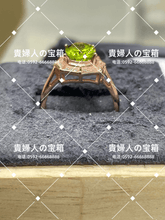 画像をギャラリービューアに読み込む, lkqh - 貴婦人の宝箱