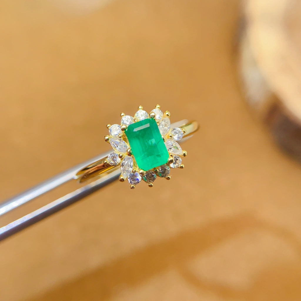 LMM - 0601 - 171746 - 6 - 1 - 貴婦人の宝箱