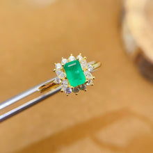 画像をギャラリービューアに読み込む, LMM - 0601 - 171746 - 6 - 1 - 貴婦人の宝箱