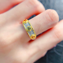 画像をギャラリービューアに読み込む, LXX - 0527 - 173814 - 3 - 1 - 貴婦人の宝箱