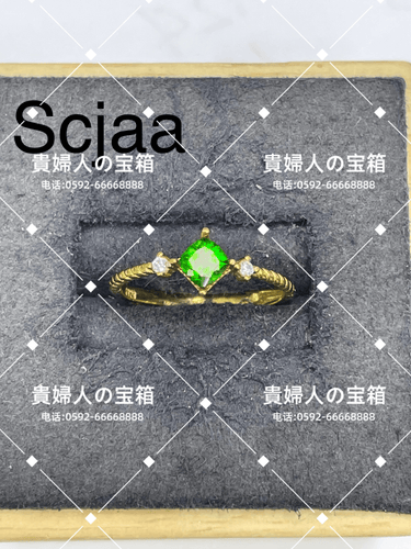 scjaa - 貴婦人の宝箱