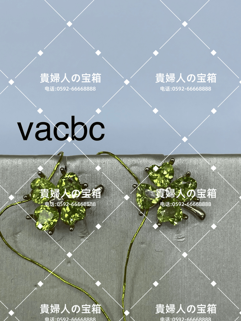 vacbc - 貴婦人の宝箱