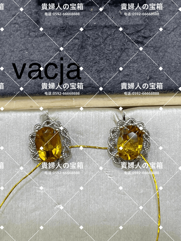 vacja - 貴婦人の宝箱