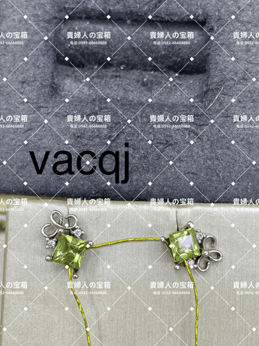 vacqj - 貴婦人の宝箱