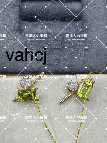 vahcj - 貴婦人の宝箱