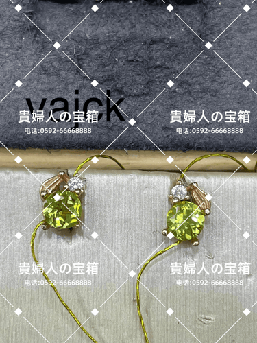 vajck - 貴婦人の宝箱