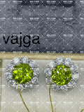 vajga