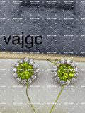 vajgc