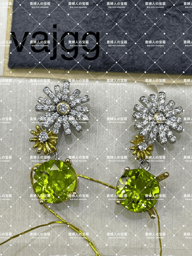 vajgg - 貴婦人の宝箱