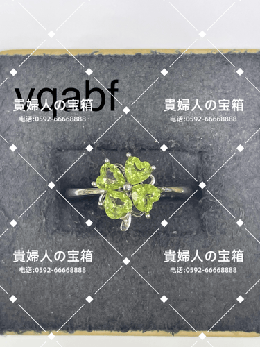 vqabf - 貴婦人の宝箱