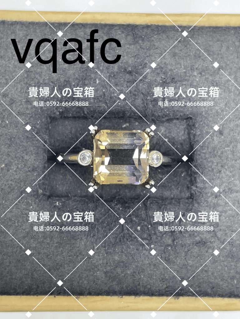 vqafc - 貴婦人の宝箱