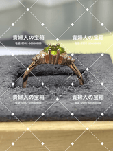 Charger l&#39;image dans la galerie, vqaqf - 貴婦人の宝箱