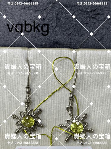 vqbkg - 貴婦人の宝箱