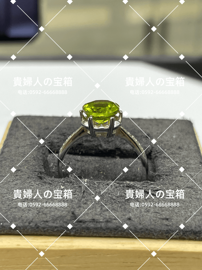 vqfbd - 貴婦人の宝箱