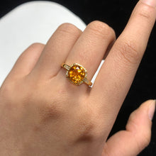 画像をギャラリービューアに読み込む, YBJ - 0612 - 153631 - 1 - 貴婦人の宝箱