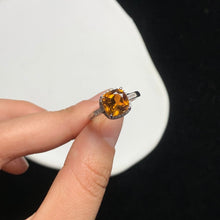 画像をギャラリービューアに読み込む, YBJ - 0612 - 153631 - 1 - 貴婦人の宝箱