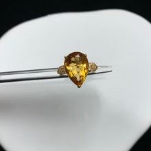 画像をギャラリービューアに読み込む, YBJ - 0612 - 173105 - 1 - 貴婦人の宝箱