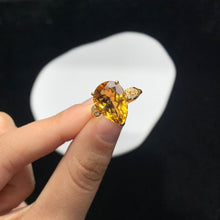 画像をギャラリービューアに読み込む, YBJ - 0612 - 173105 - 1 - 貴婦人の宝箱