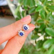 画像をギャラリービューアに読み込む, YBJ - 0613 - 142524 - 1 - 貴婦人の宝箱