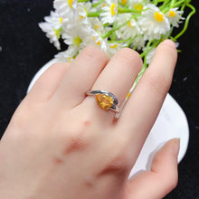 画像をギャラリービューアに読み込む, YBJ - 0613 - 142929 - 1 - 貴婦人の宝箱