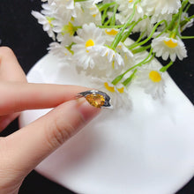 画像をギャラリービューアに読み込む, YBJ - 0613 - 142929 - 1 - 貴婦人の宝箱