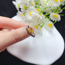 画像をギャラリービューアに読み込む, YBJ - 0613 - 142929 - 1 - 貴婦人の宝箱