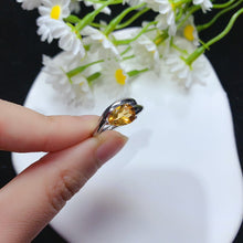 画像をギャラリービューアに読み込む, YBJ - 0613 - 142929 - 1 - 貴婦人の宝箱