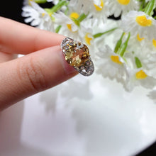 画像をギャラリービューアに読み込む, YBJ - 0613 - 142945 - 1 - 貴婦人の宝箱