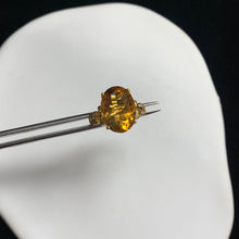 画像をギャラリービューアに読み込む, YBJ - 0613 - 142958 - 1 - 貴婦人の宝箱