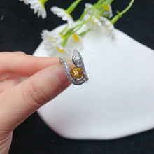 Load image into Gallery viewer, YBJ - 0613 - 143022 - 1 - 貴婦人の宝箱