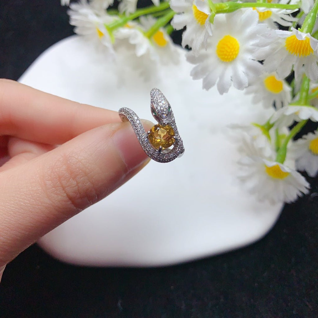 YBJ - 0613 - 143022 - 1 - 貴婦人の宝箱