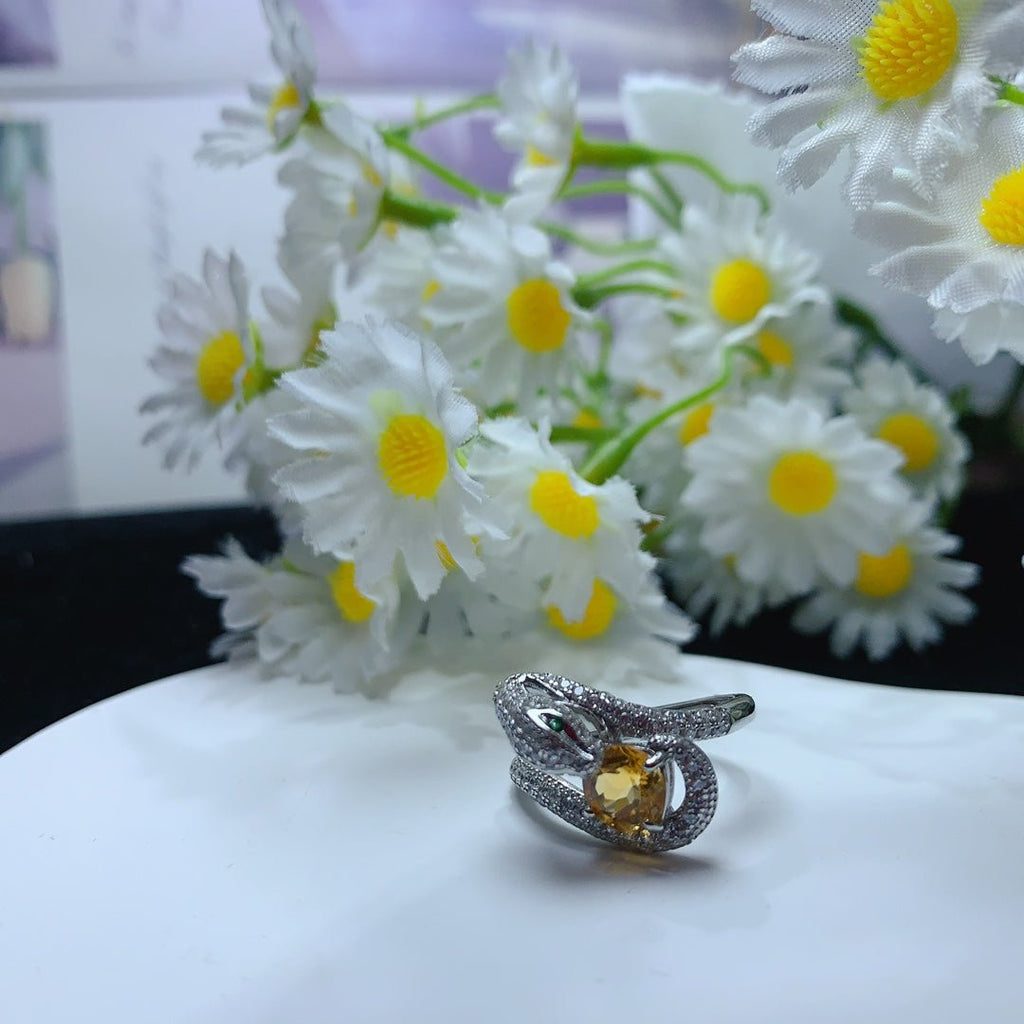 YBJ - 0613 - 143022 - 1 - 貴婦人の宝箱