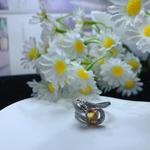 Load image into Gallery viewer, YBJ - 0613 - 143022 - 1 - 貴婦人の宝箱